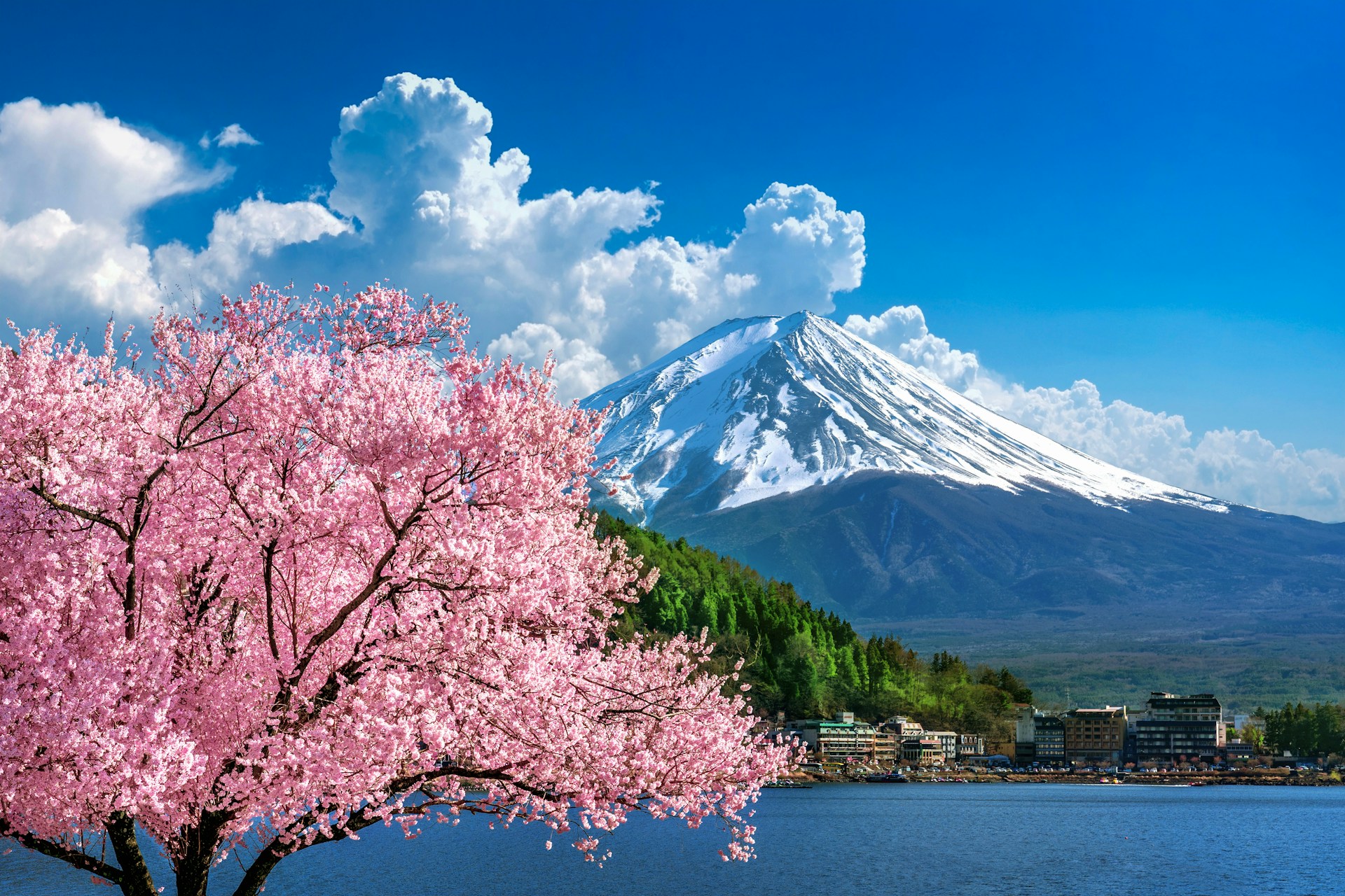 Japan Rail Pass vs Individual Tickets: What Should Indian Travellers Choose? Japan Rail Pass vs Individual Tickets: What Should Indian Travellers Choose?